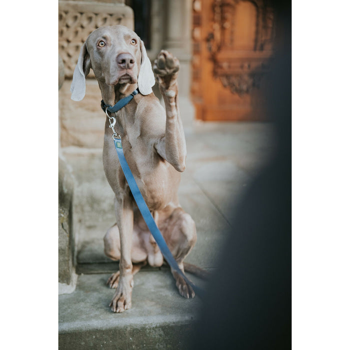 Dog Lead Hunter Blue 100 cm