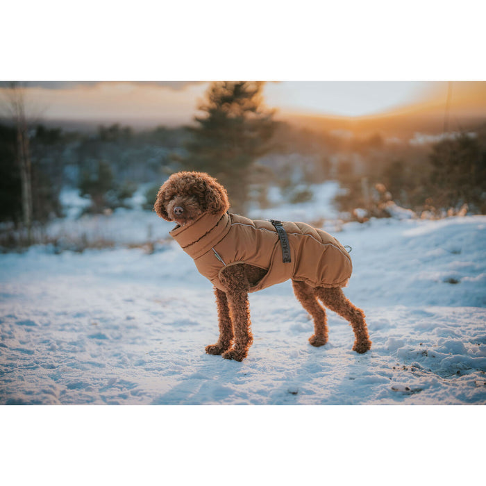 Pet's clothing Hunter PAXSON Brown Polyester