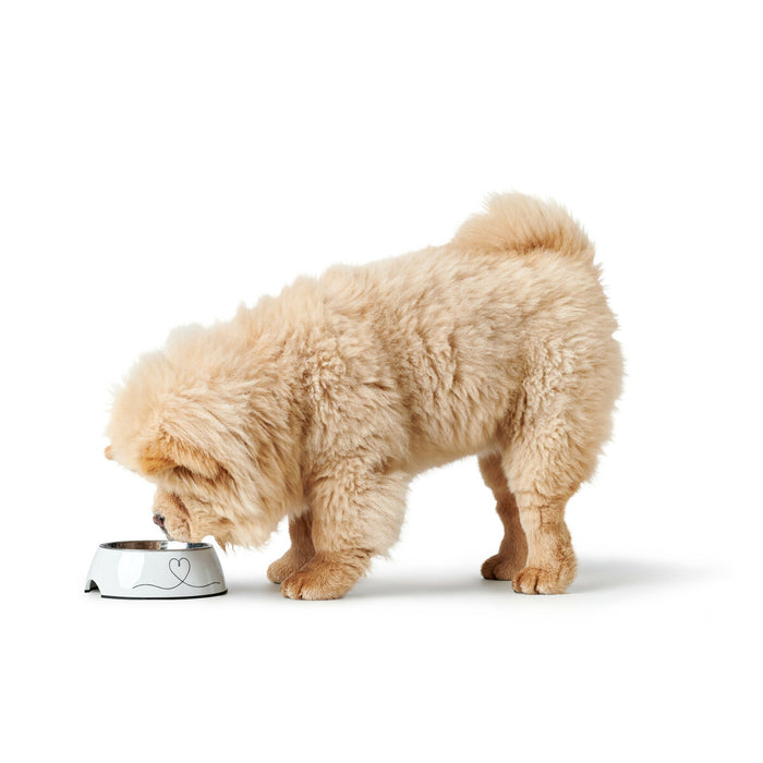 Dog Feeder Hunter Valencia White 700 ml