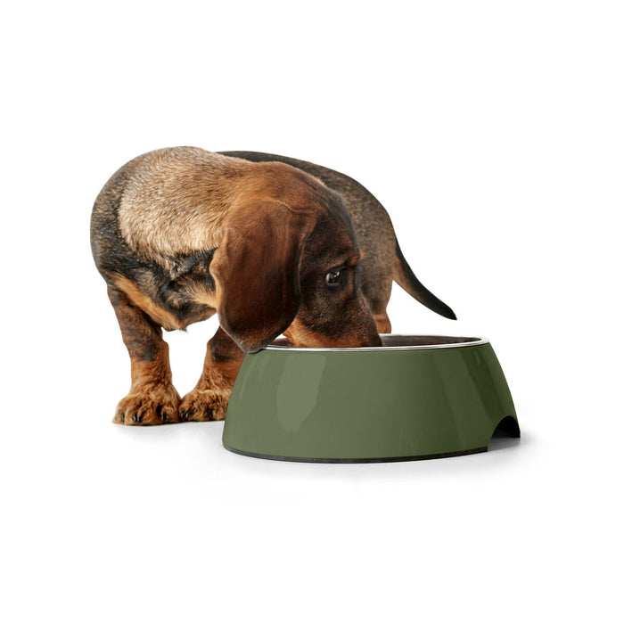 Dog Feeder Hunter Green 700 ml
