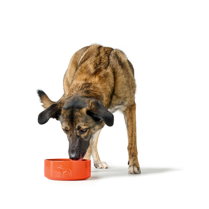 Dog Feeder Hunter OSBY Orange Ceramic 1,1 L