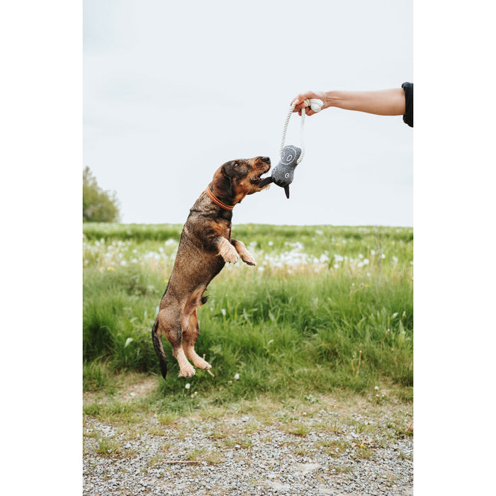 Dog toy Hunter NEBRASKA Beige Polyester