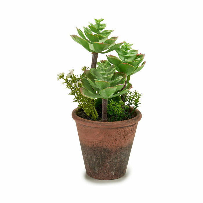 Decorative Plant Ibergarden Plastic Succulent 16 x 23 x 16 cm (12 Units)