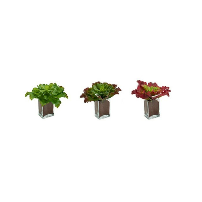 Decorative Plant Ibergarden Plastic Sheets Large 31 x 24 x 31 cm Bicoloured (6 Units)
