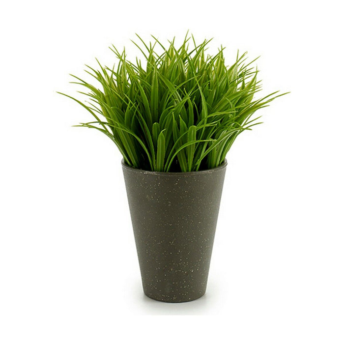 Decorative Plant Ibergarden Plastic 11 x 18 x 11 cm (12 Units)