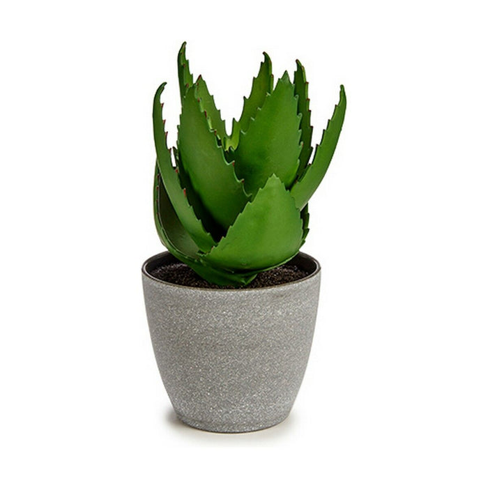 Decorative Plant Ibergarden Plastic Aloe Vera 15 x 23,5 x 15 cm (6 Units)