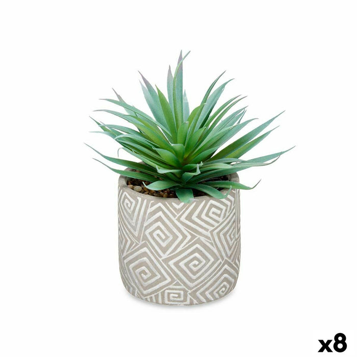 Decorative Plant Ibergarden Wood Polyethylene Plastic Cement Succulent 17 x 21 x 17 cm (8 Units)