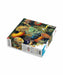 Imagination Puzzle: Ernst Haeckel Sea Creatures 1000 elements - TraditionalPUZ-TRA<<<(Games and Toys)