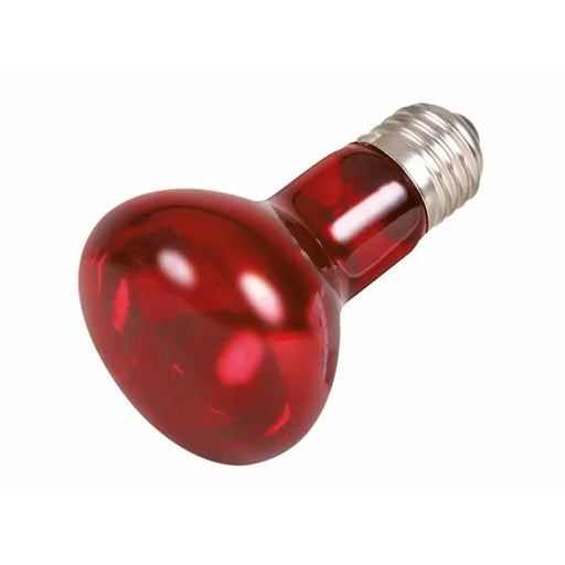 Infrared light bulb Trixie - Домашни Животни<<<Дом Градина<<<BigBuy&&&Здраве и хигиена<<<Домашни Животни<<<Дом