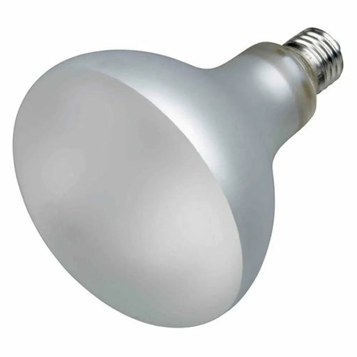 Infrared light bulb Trixie ProSun Mixed D3 - Домашни Животни<<<Дом Градина<<<BigBuy&&&Здраве и хигиена<<<Домашни