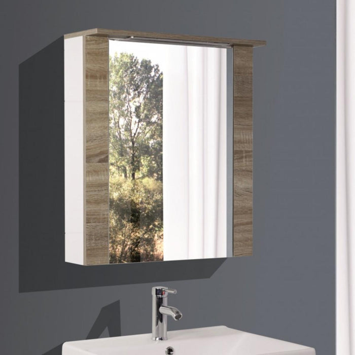 BATHROOM MIRROR CABINET ICMC 6013-70 IC