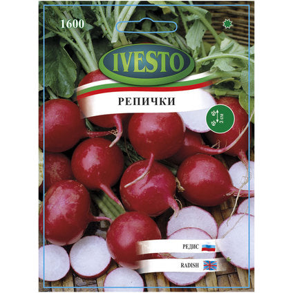 CHAMPION IVESTO RAPES SEEDS
