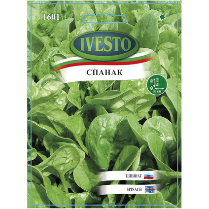 IVESTO SPINACH SEEDS