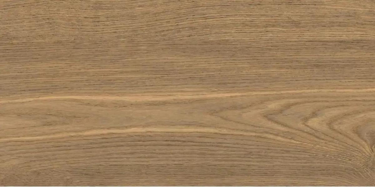PORCELAIN TILE LEONARDO BROWN 30.3X60.6