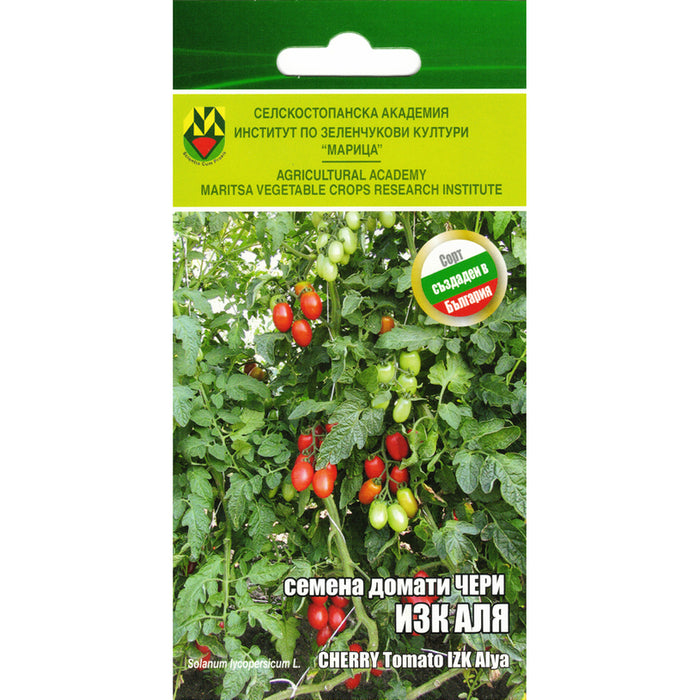 TOMATO SEEDS ALLA TYPE CHERRY IZK MARITSA