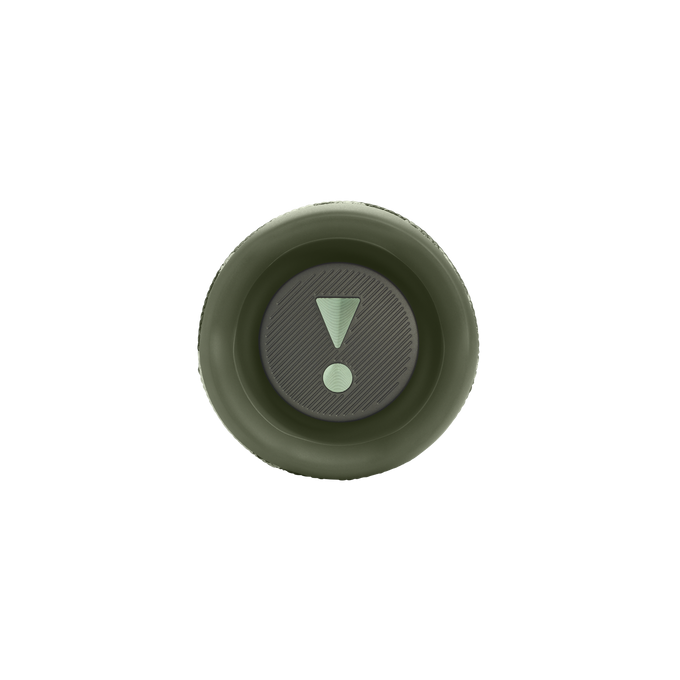 JBL Flip 6 Bluetooth Wireless Speaker Squad EU