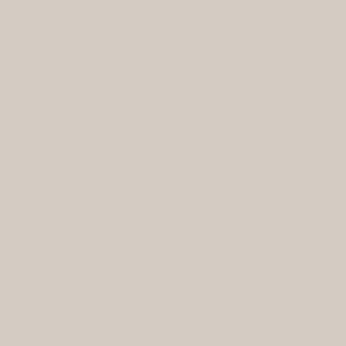 RENOVATION PAINT HYDRO-PROTECT BEIGE 2 L JEGER