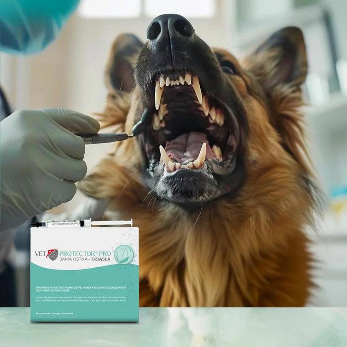 JM SANTE Pro Oral Cavity – Gums - dental solution for oral hygiene for dogs and cats – 10×3 ml