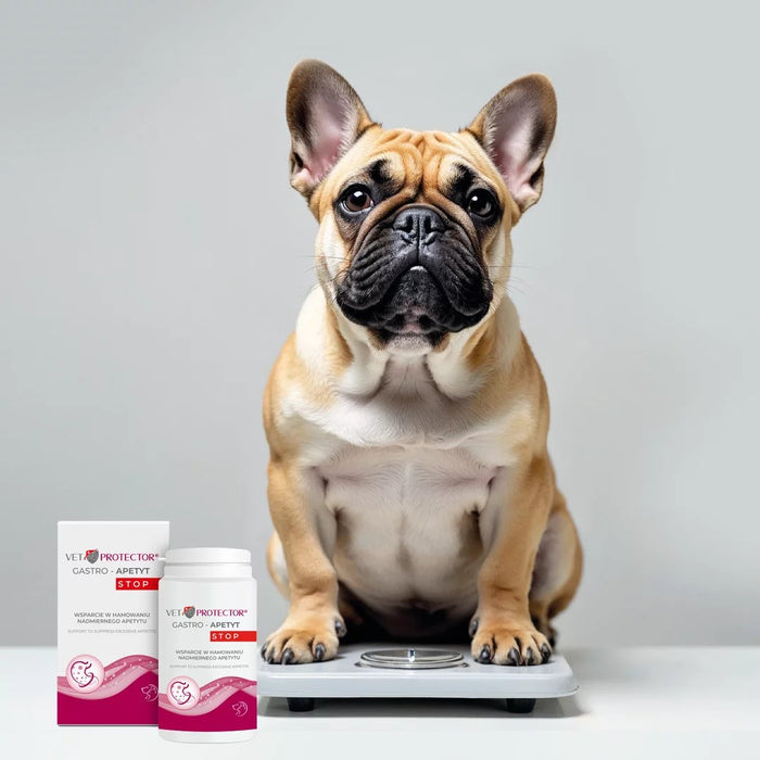 JM SANTE Vet Protector® Gastro – Appetite Stop- supplements for dogs and cats - 150g