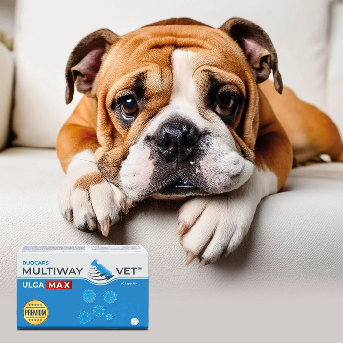 JM SANTE Multiway Vet Duocaps Ulga Max - twist-off capsules for relieving stress and discomfort in dogs and cats – 60 pcs