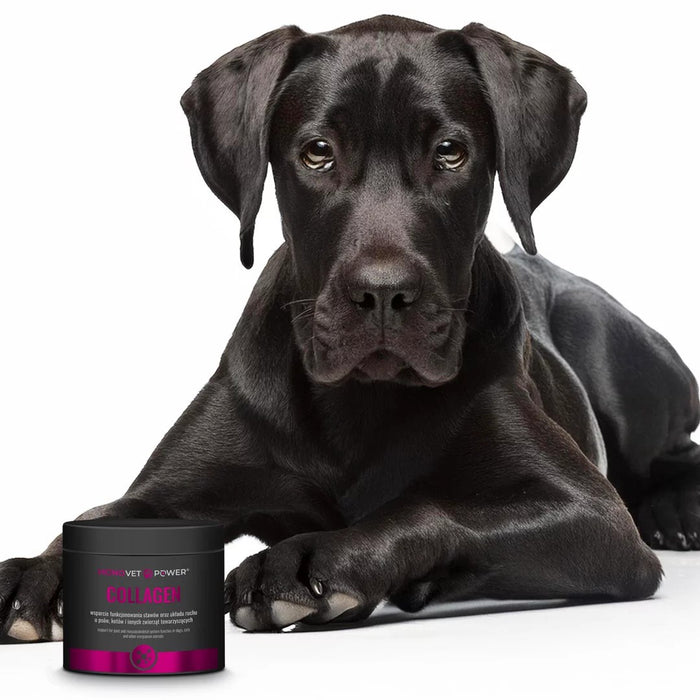 JM SANTE Monovet Power Collagen - supplements for dogs and cats - 120g