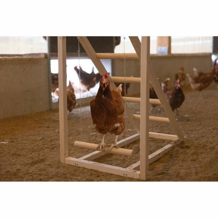 Staircase Kerbl Chicken