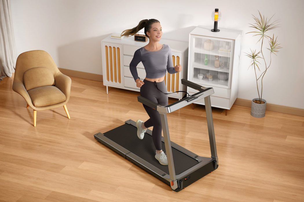 Electric treadmill Kingsmith TREADMILL G1