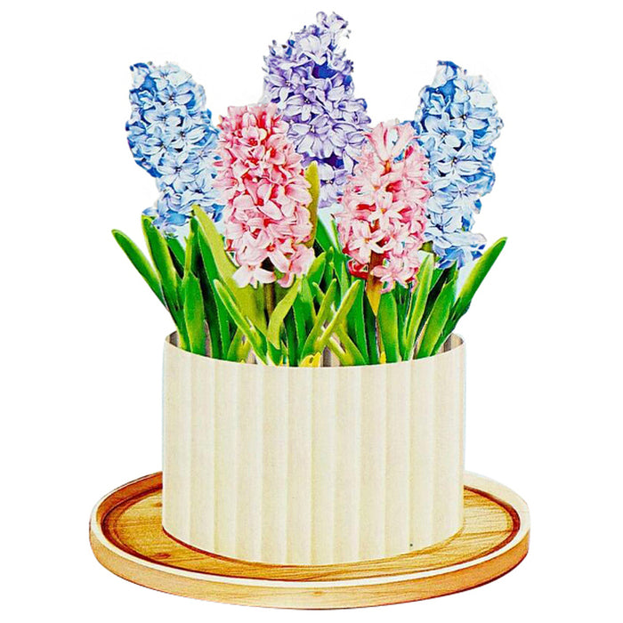 HYACINTH KIRIORI POP-UP CARD 13500