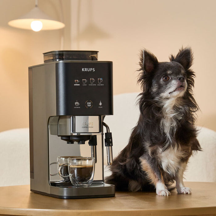 Coffee machine KRUPS Coffee Crush SA403BE0 1800.00 ml