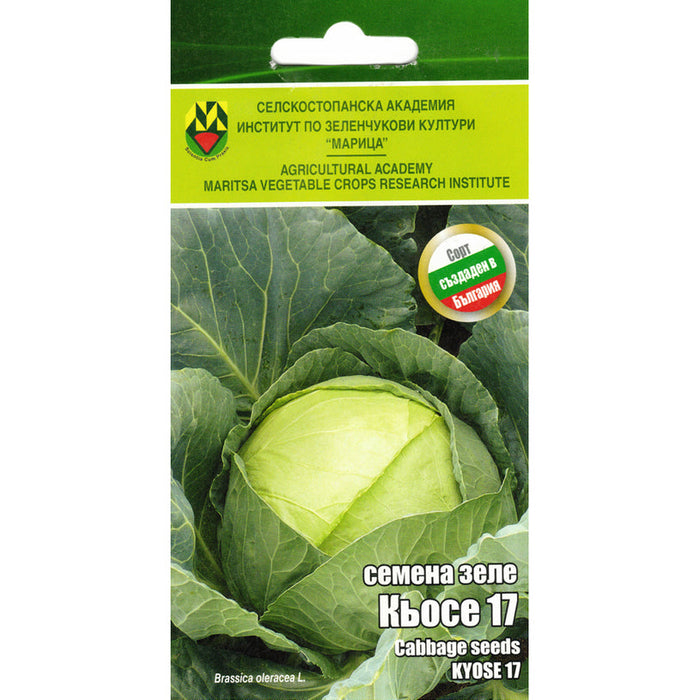 KYOSE CABBAGE SEEDS 17 IZK MARITSA - Семена<<<Семена луковици и разсад<<<Градина<<<Praktiker