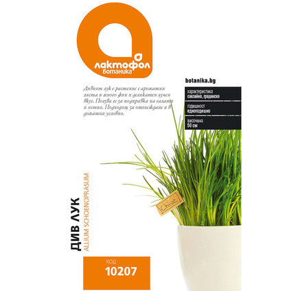 WILD ONION SEEDS LACTOFOL BOTANICA