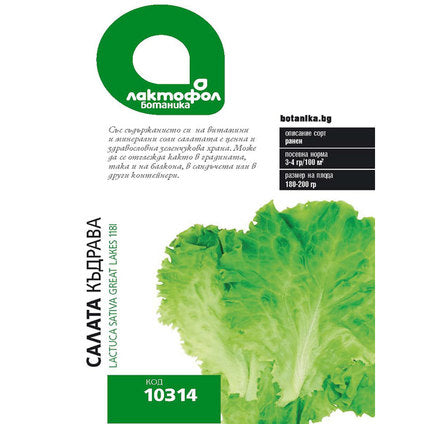 CURLY LETTUCE SEEDS LAKTOFOL BOTANICA