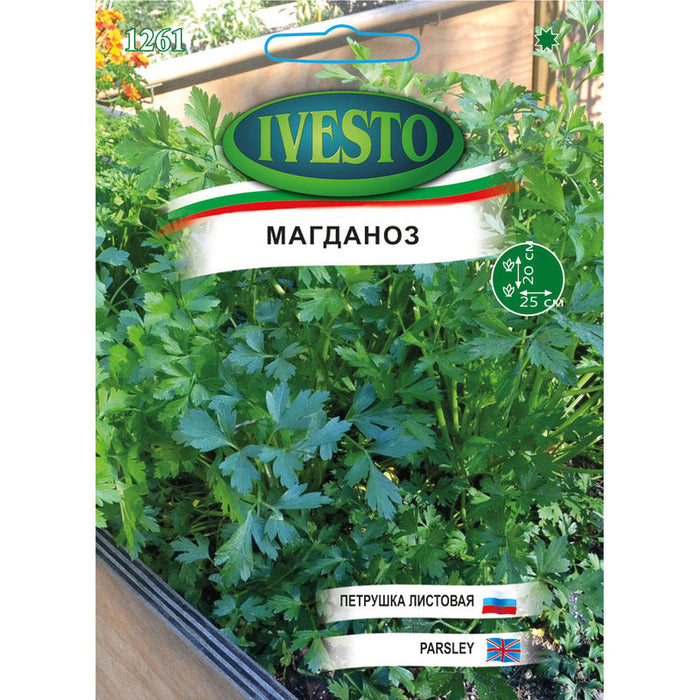 LARGE PARSLEY SEEDS IVESTO - Семена<<<Семена луковици и разсад<<<Градина<<<Praktiker