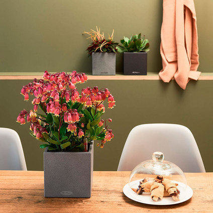 POT 14X14CM WITH IRRIGATION SYSTEM LECHUZA CANTO STONE