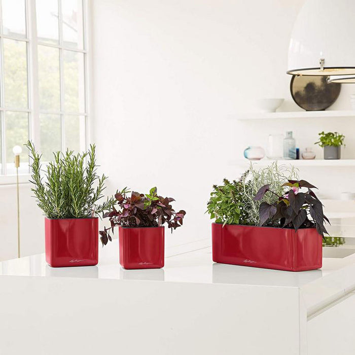 POT 40X14CM WITH IRRIGATION SYSTEM LECHUZA CUBE GLOSSY TRIPLE