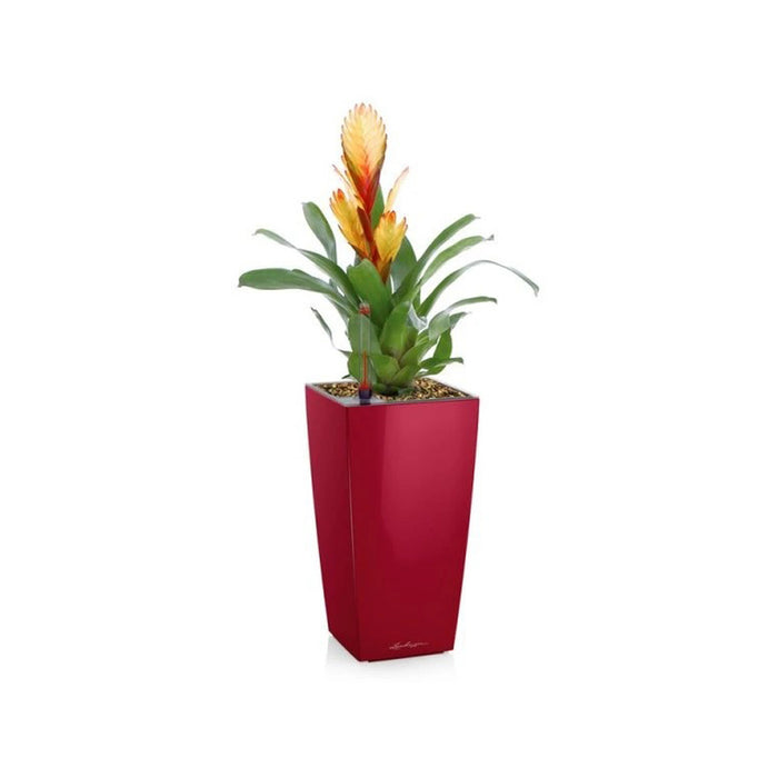POT 9.5X9.5CM WITH IRRIGATION SYSTEM LECHUZA MINI CUBI
