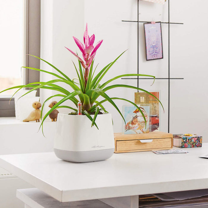 POT 17X17CM WITH IRRIGATION SYSTEM LECHUZA YULA