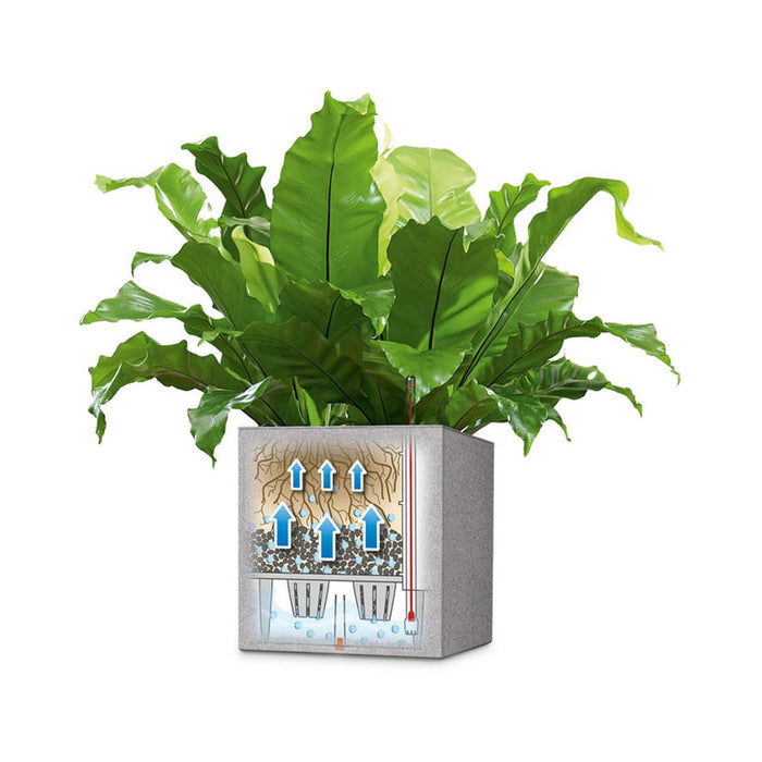 30X30CM POT WITH IRRIGATION SYSTEM LECHUZA CANTO