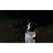 LED Collar for Pets Trixie Orange L/XL - Домашни Животни<<<Дом Градина<<<BigBuy&&&Пътуване и разходки<<<Домашни