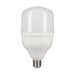 LED lamp EDM 98831 F 20 W E27 1700 Lm Ø 8 x 16,5 cm (6400 K) - Декорация и Осветление<<<Дом Градина<<<BigBuy&&&LED