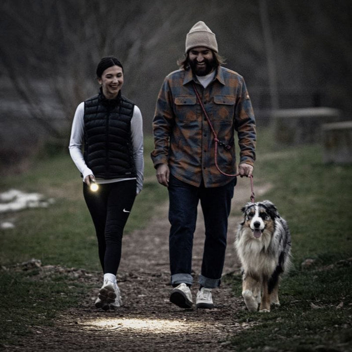 Ledlenser P7R Black Hand flashlight LED