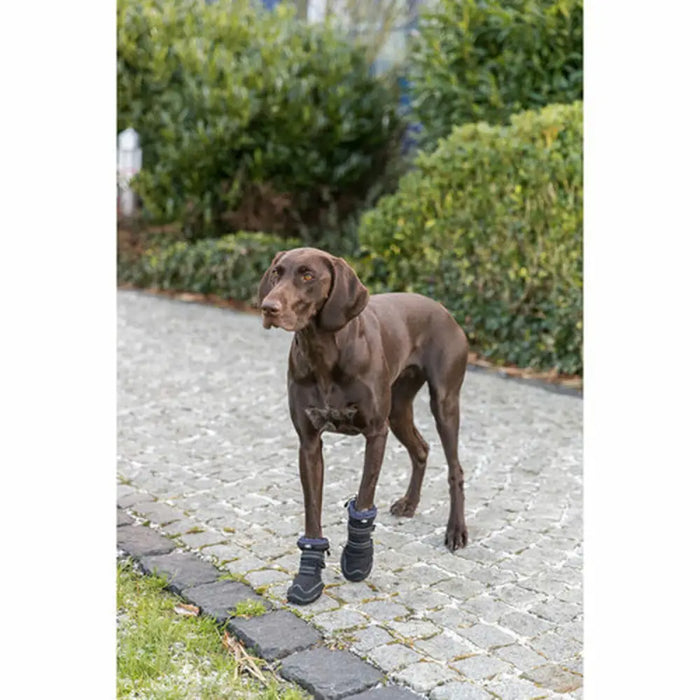 Leg protection walker Trixie Black M - Домашни Животни<<<Дом Градина<<<BigBuy&&&Пътуване и разходки<<<Домашни