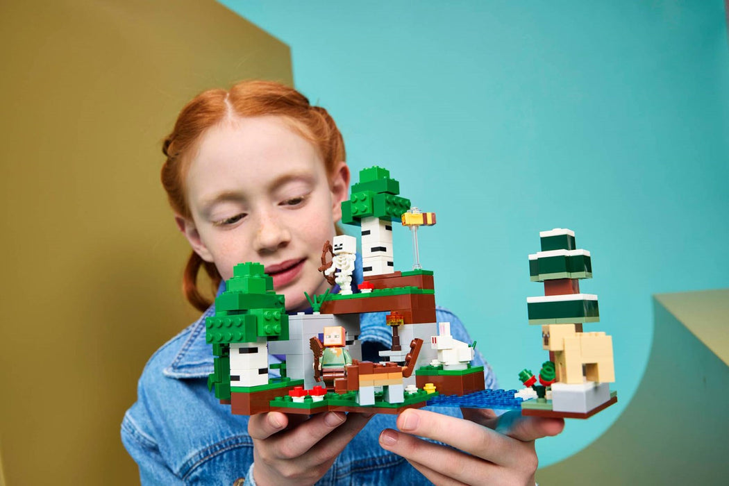 LEGO MINECRAFT 21593 First Night Adventure