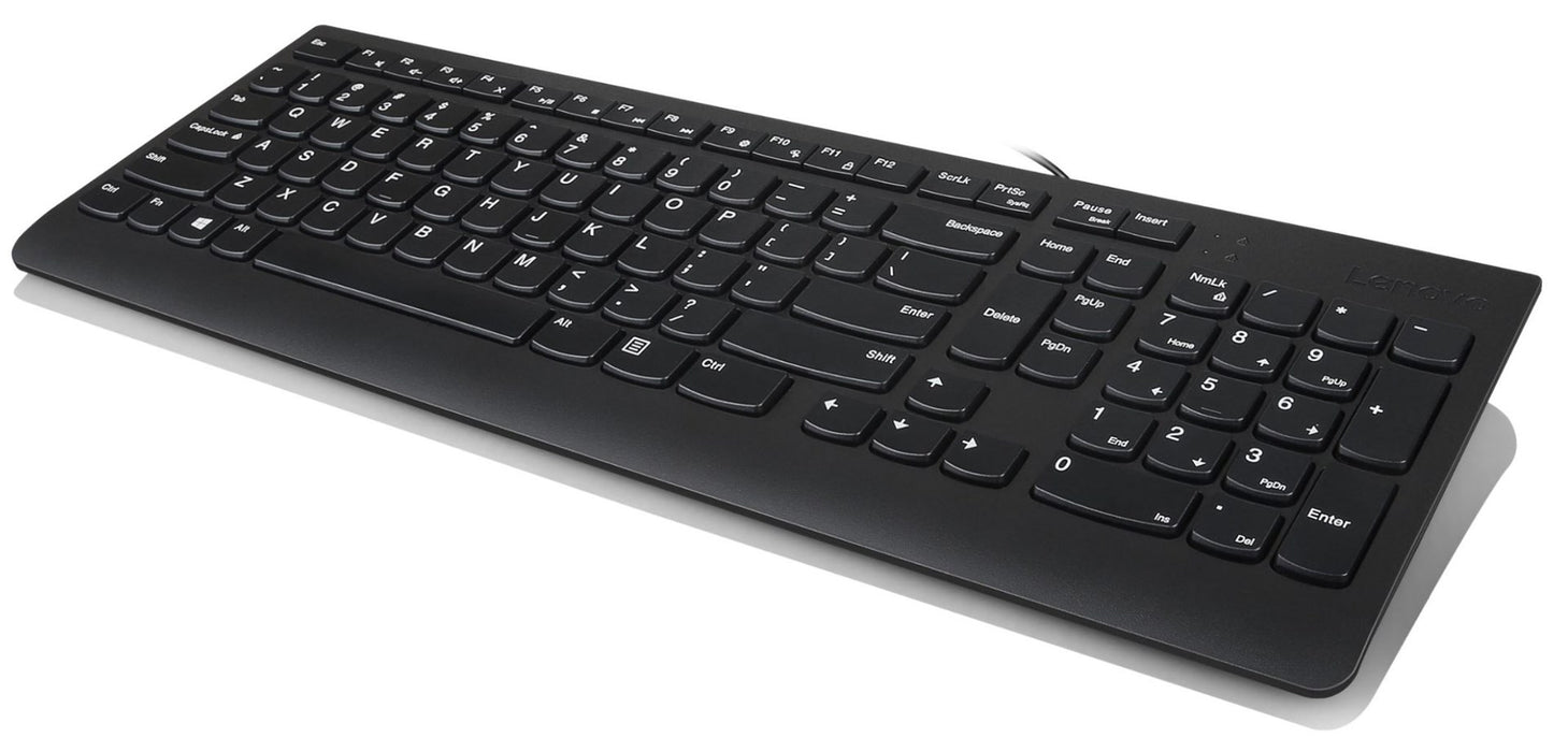 Lenovo 300 keyboard Mouse included Universal USB QWERTY US English Black