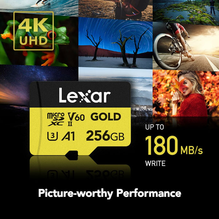 SD Memory Card Lexar LMSGOLD256G-BNNNG 256 GB