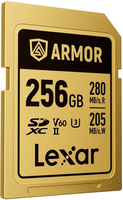 USB stick Lexar LSDAMGL256G-RNNNG Black