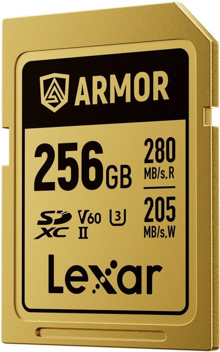 USB stick Lexar LSDAMGL256G-RNNNG Black