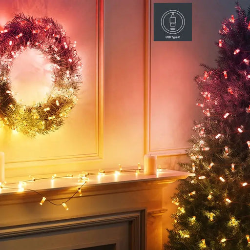 LIGHTING GARLAND 600CM 100LED TWINKLY TWKC100RGB-G - Шатри<<<Чадъри сенници и шатри<<<Градина<<<Praktiker&&&Christmas
