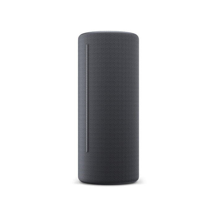 Bluetooth Speakers Loewe Grey