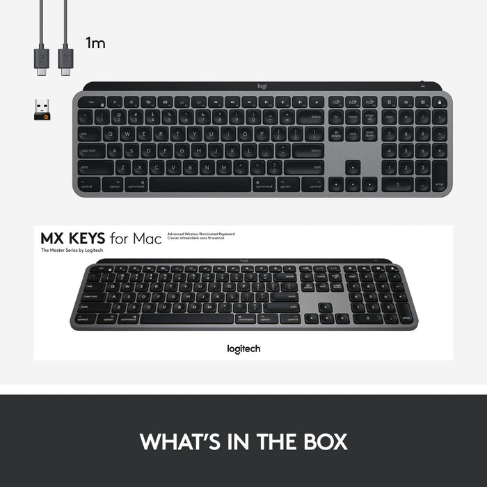 Keyboard LOGITECH MX KEYS MAC GR 920-009558 US International